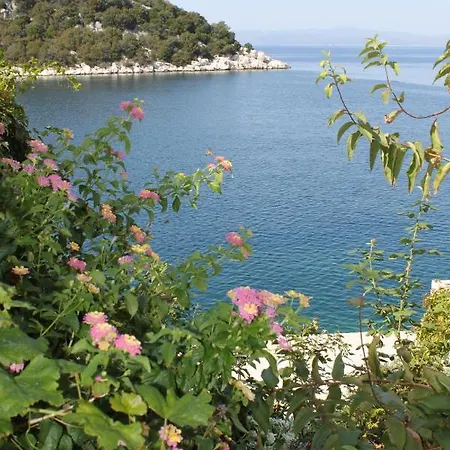 Zaklopatica 8393a Daire