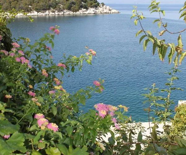 Zaklopatica 8393a アパート